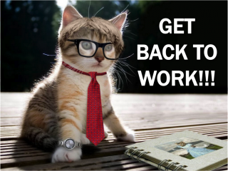 A cat wearing glasses and a tie and the slogan Get Back To Work