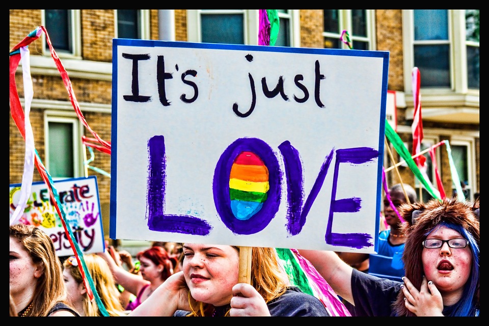 A woman holds a poster that reads It's Just Love at a gay pride march