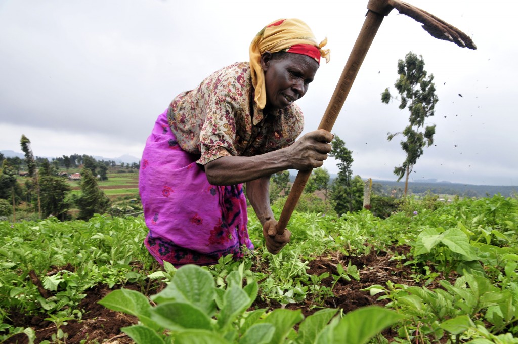 A farmer at work in Kenya's Mount Kenya region