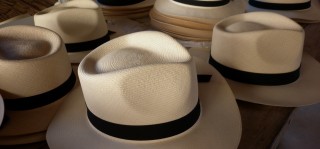 Panama hat