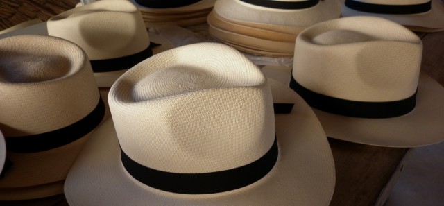 Panama hat