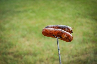 Two sausages on a skewer