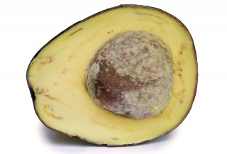 An avocado