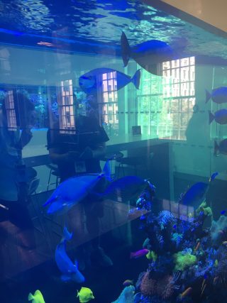 Aquarium