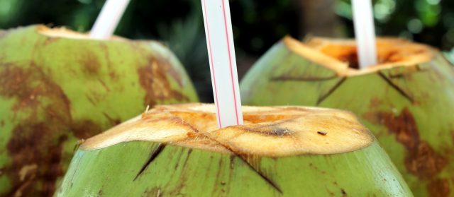 Young coconuts with straws