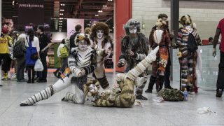 Cats posing at ComiCon 2016.