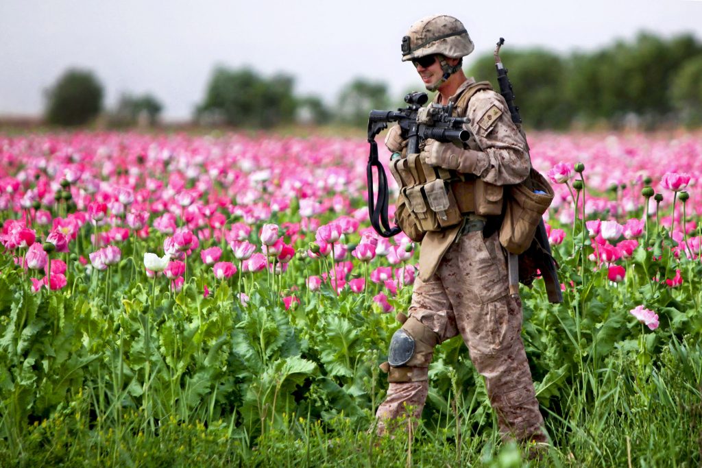 U.S. Marine patrols Opium field