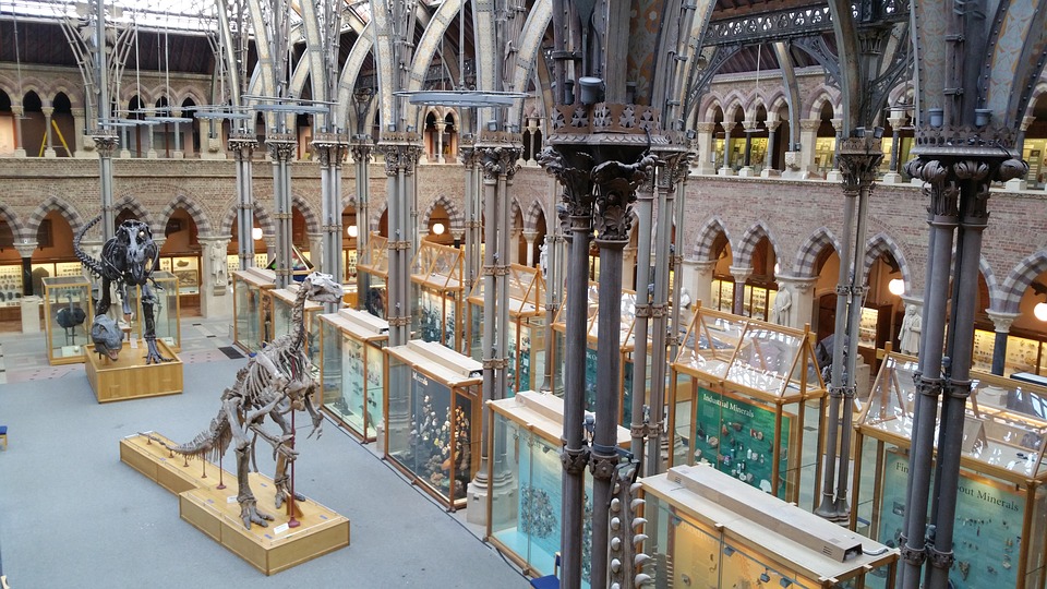 Natural History Museum.