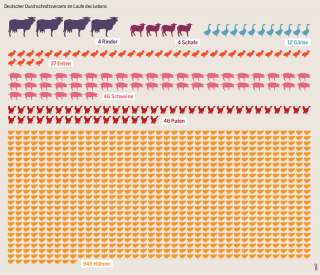 German meat consumption chart, Heinrich Böll Stiftung.