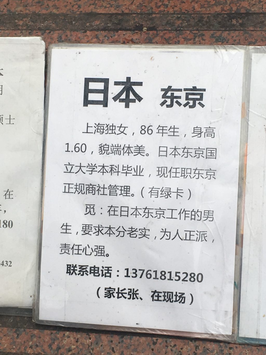 Description of young Chinese man at Shanghai marriage market.