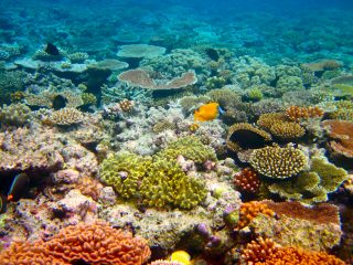 Great Barrier Reef