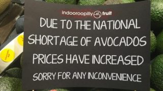 Avocado Prices Sign