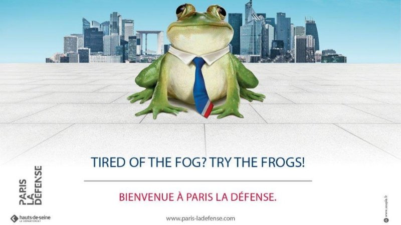 Tired_Frogs_Try_Fog