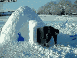 Housing igloo gif