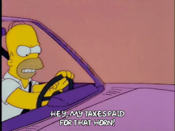 Homer Simpson taxes