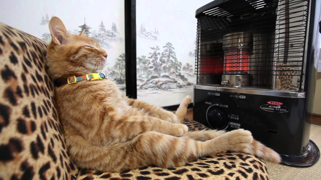 Cat-heater