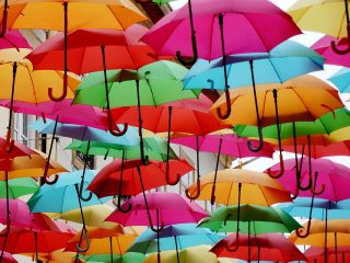 umbrella rain