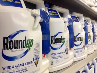 roundup