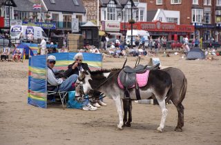 donkey beach uk