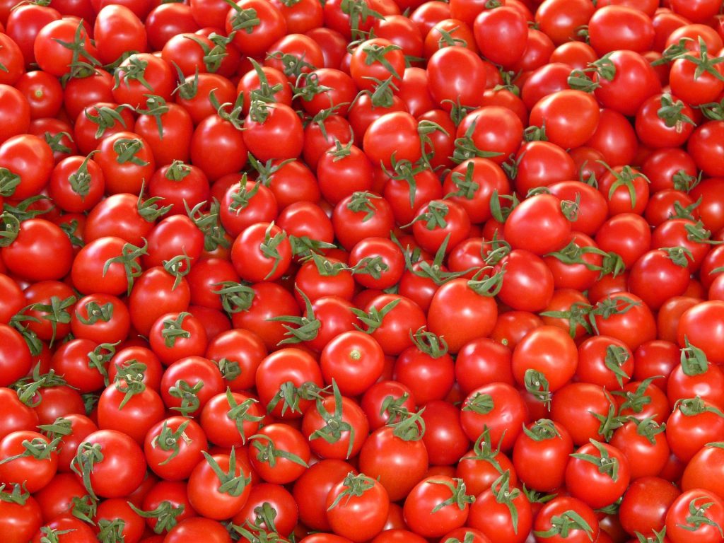 Exploring the Possibility of Spicy Tomatoes: What are the Benefits and Risks?