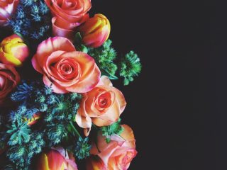 studio-shot-bouquet-of-roses-on-black_t20_RAnWxQ