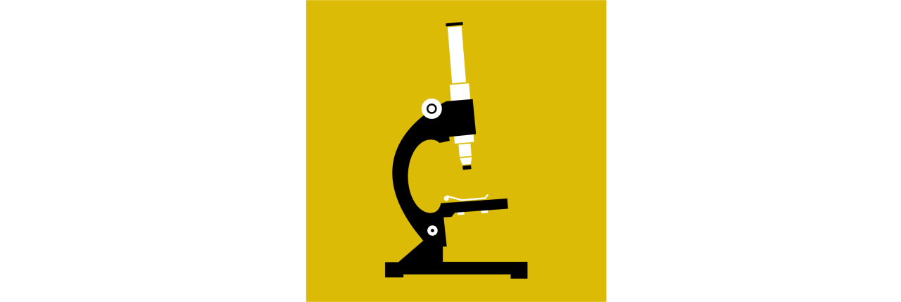 Science Week Banner 1